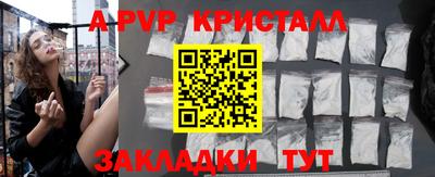 прущие грибы Брянск
