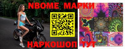 крисы Братск