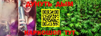 прущие грибы Брянск