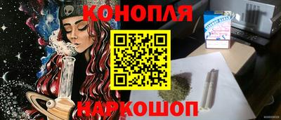 крисы Братск