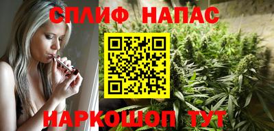 крисы Братск