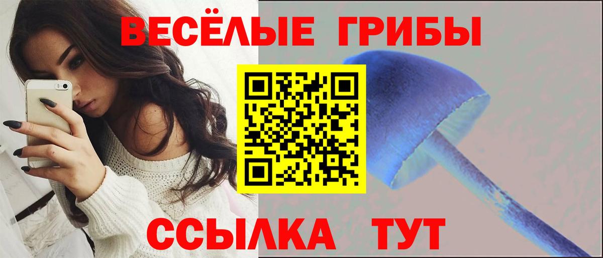 Каменск-Шахтинский  Псилоцибиновые грибы мухоморы  Вход с VPN 